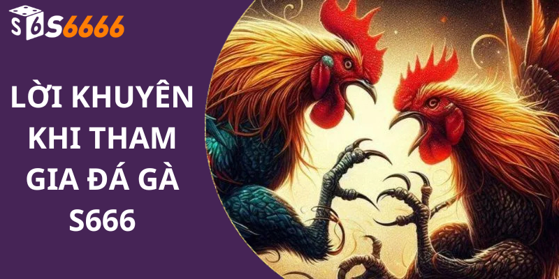 Lời Khuyên Khi Tham Gia Đá Gà S666