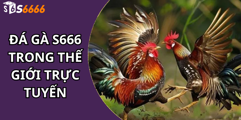 Đá Gà S666 Trong Thế Giới Trực Tuyến