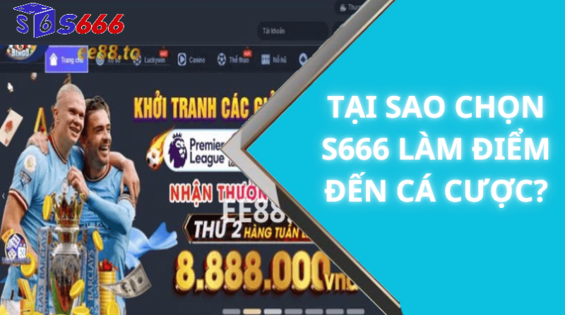 Tại sao chọn s666 làm điểm đến cá cược?