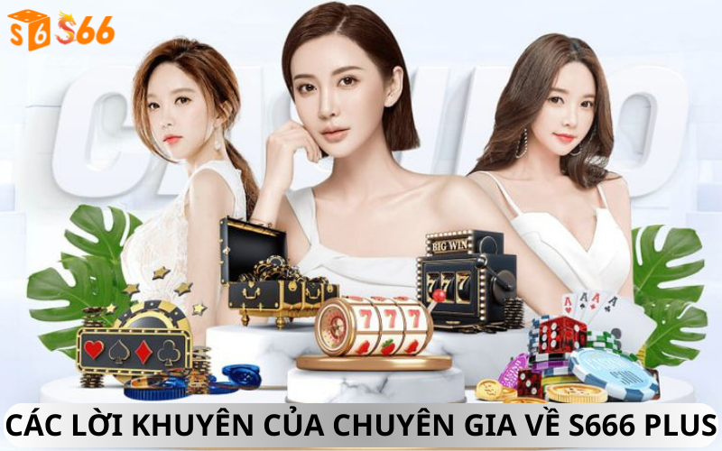 Các Lời Khuyên Của Chuyên Gia Về S666 Plus